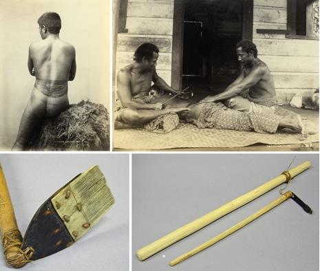 Samoan tattooing tools images from the Pitt Rivers Museum